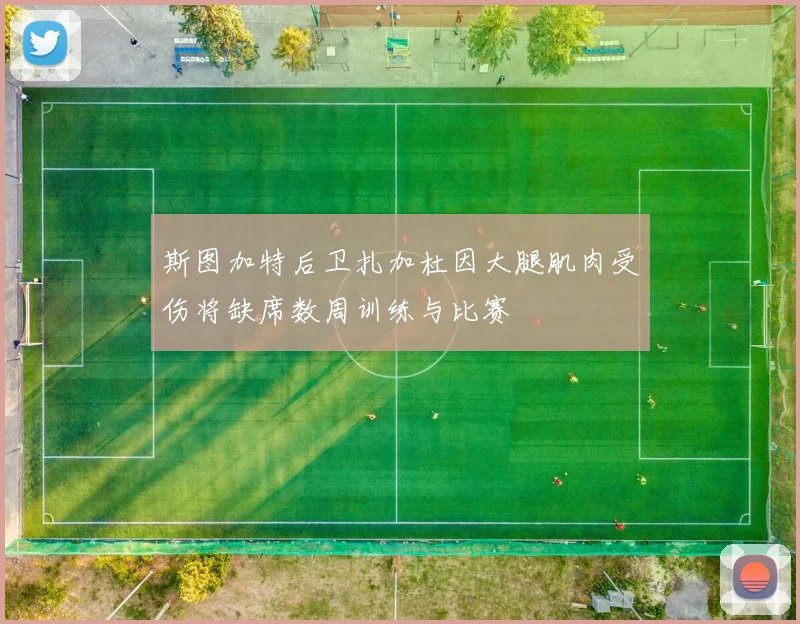 斯图加特后卫扎加杜因大腿肌肉受伤将缺席数周训练与比赛