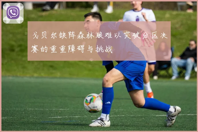 戈贝尔缺阵森林狼难以突破分区决赛的重重障碍与挑战